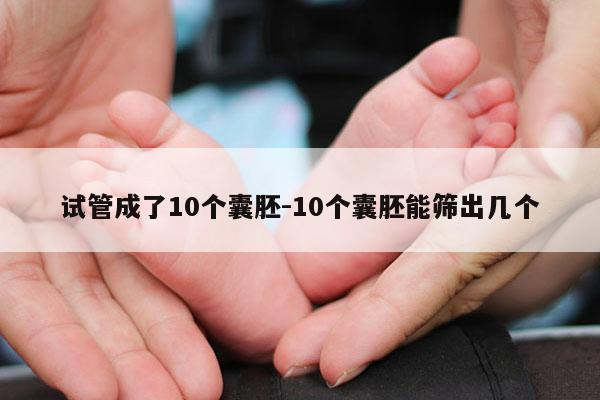 试管成了10个囊胚-10个囊胚能筛出几个