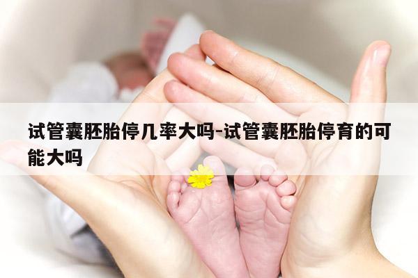 试管囊胚胎停几率大吗-试管囊胚胎停育的可能大吗