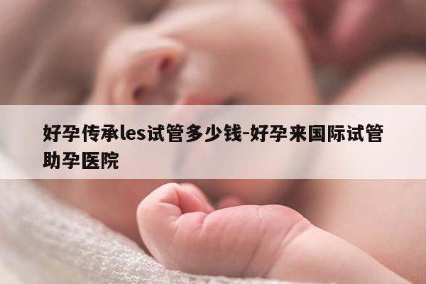 好孕传承les试管多少钱-好孕来国际试管助孕医院