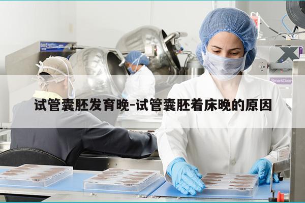 试管囊胚发育晚-试管囊胚着床晚的原因