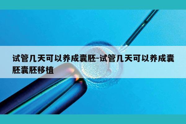 试管几天可以养成囊胚-试管几天可以养成囊胚囊胚移植