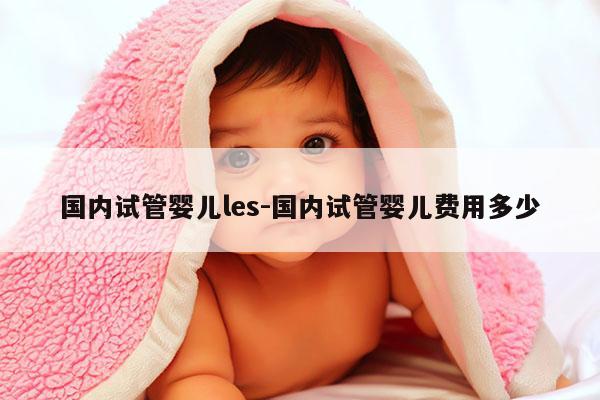 国内试管婴儿les-国内试管婴儿费用多少