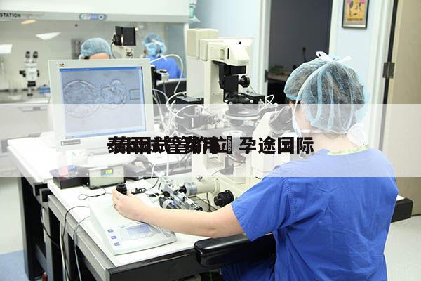 泰国试管费用問孕途国际
-泰国试管价位