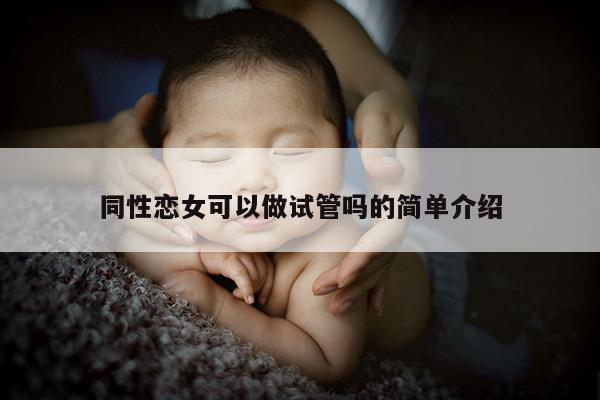 同性恋女可以做试管吗的简单介绍