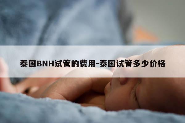 泰国BNH试管的费用-泰国试管多少价格