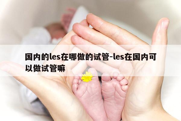 国内的les在哪做的试管-les在国内可以做试管嘛