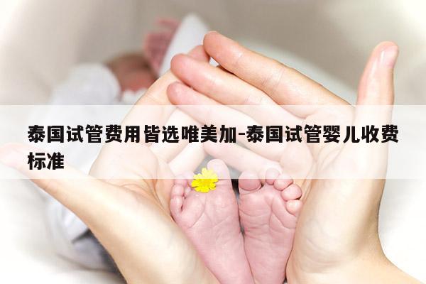 泰国试管费用皆选唯美加-泰国试管婴儿收费标准