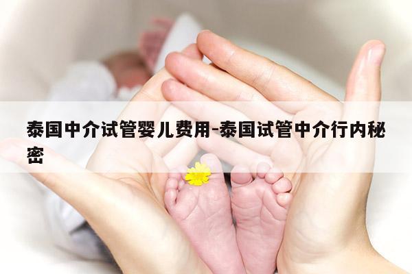 泰国中介试管婴儿费用-泰国试管中介行内秘密