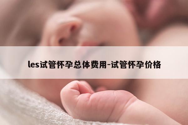 les试管怀孕总体费用-试管怀孕价格