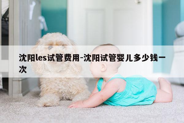 沈阳les试管费用-沈阳试管婴儿多少钱一次