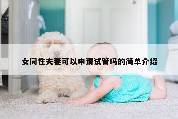 女同性夫妻可以申请试管吗的简单介绍