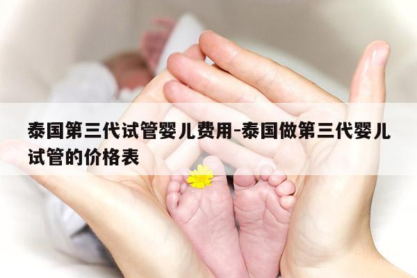 泰国第三代试管婴儿费用-泰国做第三代婴儿试管的价格表