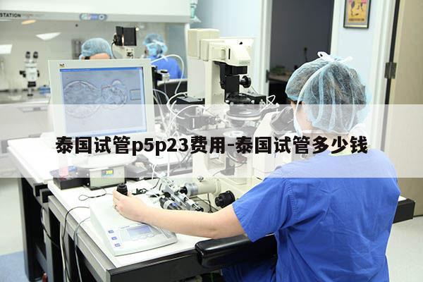 泰国试管p5p23费用-泰国试管多少钱