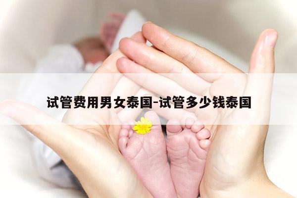 试管费用男女泰国-试管多少钱泰国