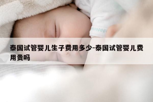 泰国试管婴儿生子费用多少-泰国试管婴儿费用贵吗