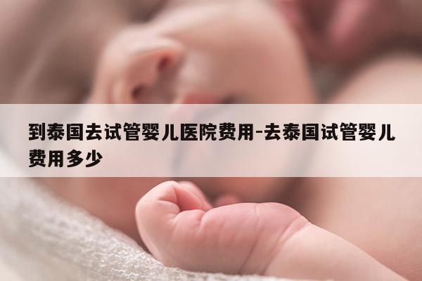 到泰国去试管婴儿医院费用-去泰国试管婴儿费用多少