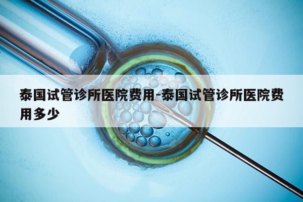 泰国试管诊所医院费用-泰国试管诊所医院费用多少