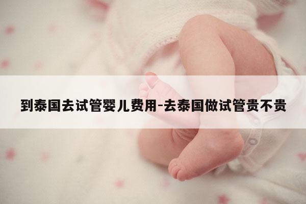 到泰国去试管婴儿费用-去泰国做试管贵不贵