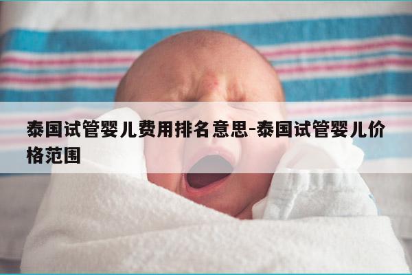 泰国试管婴儿费用排名意思-泰国试管婴儿价格范围