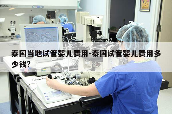 泰国当地试管婴儿费用-泰国试管婴儿费用多少钱?