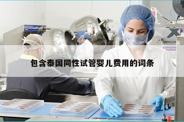 包含泰国同性试管婴儿费用的词条