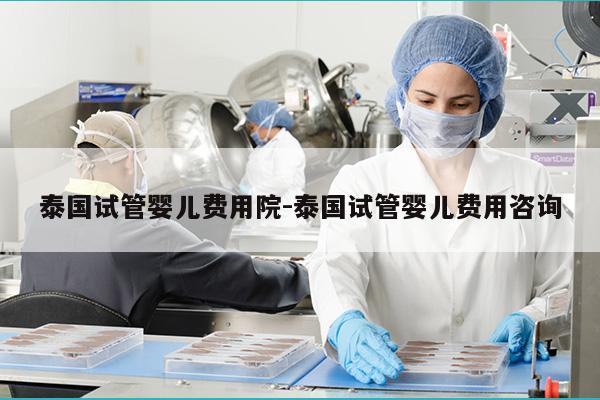 泰国试管婴儿费用院-泰国试管婴儿费用咨询