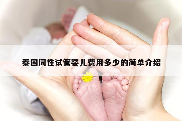 泰国同性试管婴儿费用多少的简单介绍