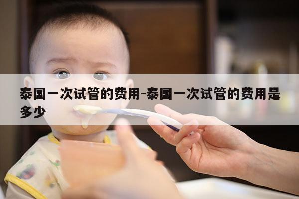泰国一次试管的费用-泰国一次试管的费用是多少