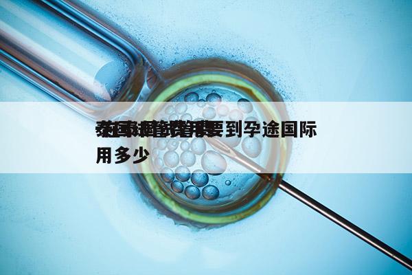 泰国试管费用要到孕途国际
-在泰国试管费用多少