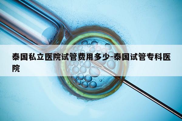 泰国私立医院试管费用多少-泰国试管专科医院