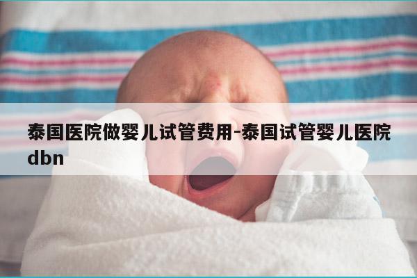 泰国医院做婴儿试管费用-泰国试管婴儿医院dbn