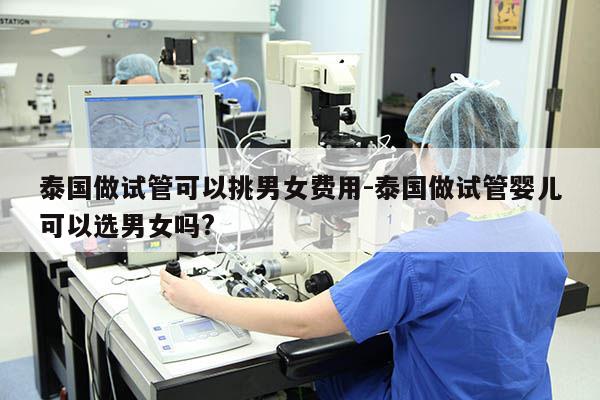 泰国做试管可以挑男女费用-泰国做试管婴儿可以选男女吗?