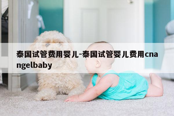 泰国试管费用婴儿-泰国试管婴儿费用cnangelbaby