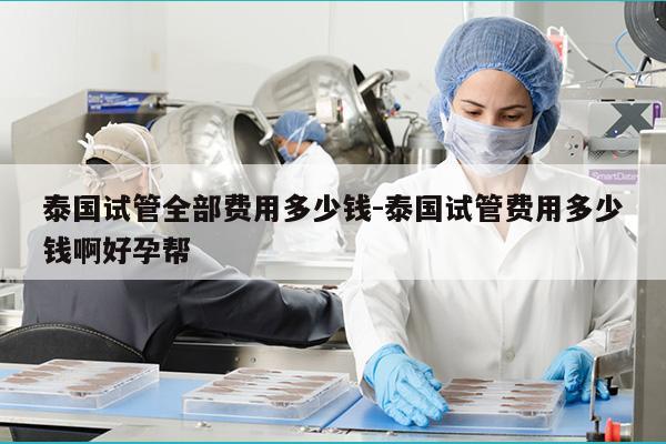 泰国试管全部费用多少钱-泰国试管费用多少钱啊好孕帮