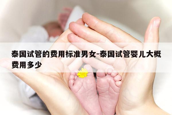 泰国试管的费用标准男女-泰国试管婴儿大概费用多少