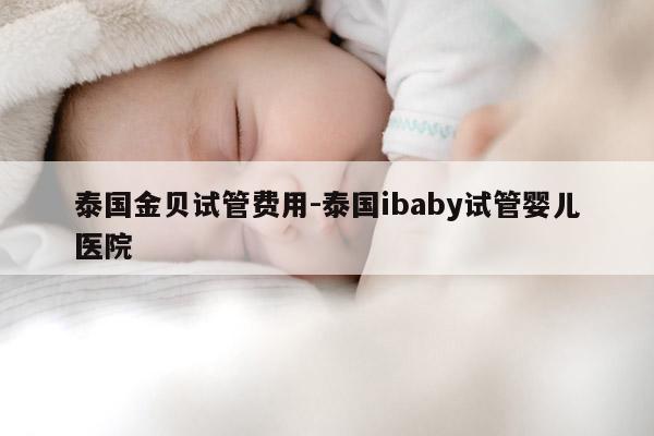 泰国金贝试管费用-泰国ibaby试管婴儿医院