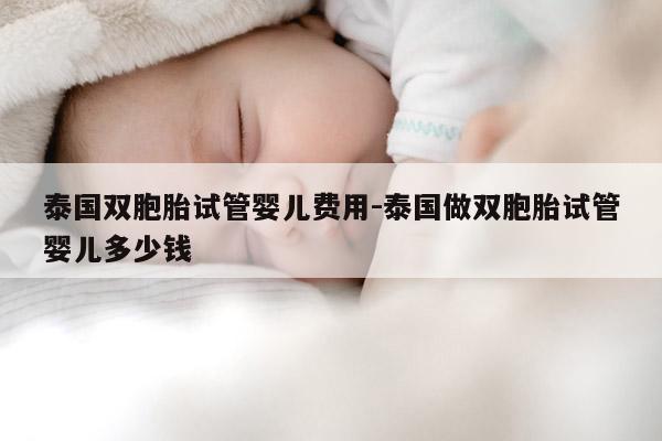 泰国双胞胎试管婴儿费用-泰国做双胞胎试管婴儿多少钱