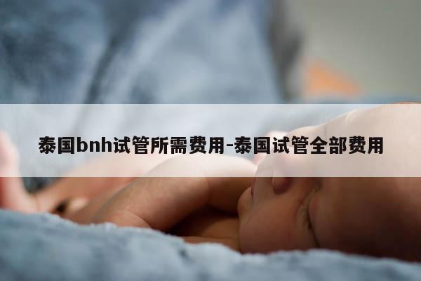 泰国bnh试管所需费用-泰国试管全部费用