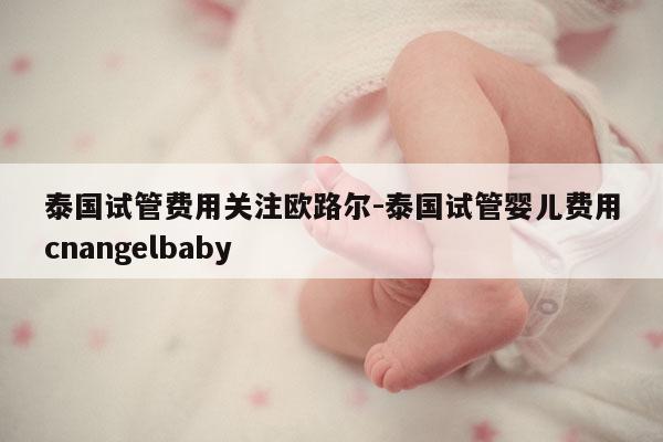 泰国试管费用关注欧路尔-泰国试管婴儿费用cnangelbaby