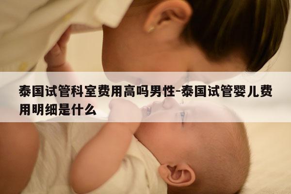 泰国试管科室费用高吗男性-泰国试管婴儿费用明细是什么