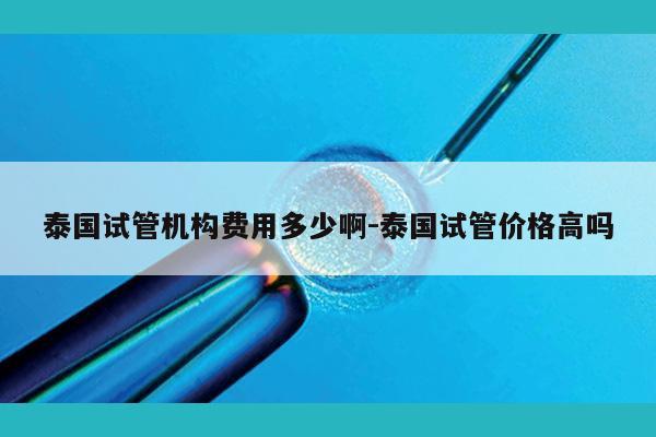 泰国试管机构费用多少啊-泰国试管价格高吗