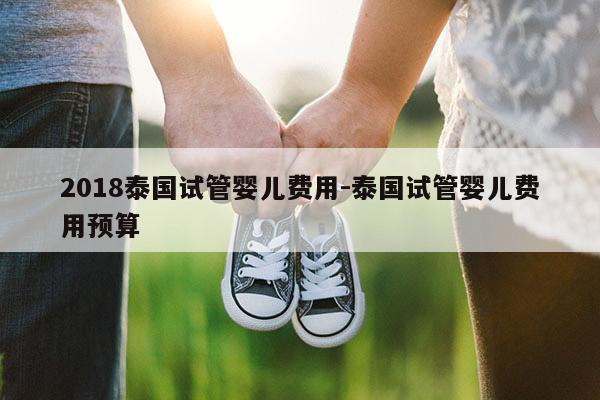 2018泰国试管婴儿费用-泰国试管婴儿费用预算