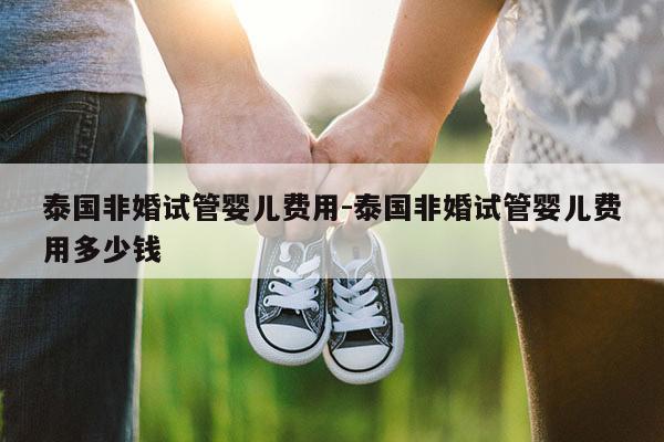 泰国非婚试管婴儿费用-泰国非婚试管婴儿费用多少钱