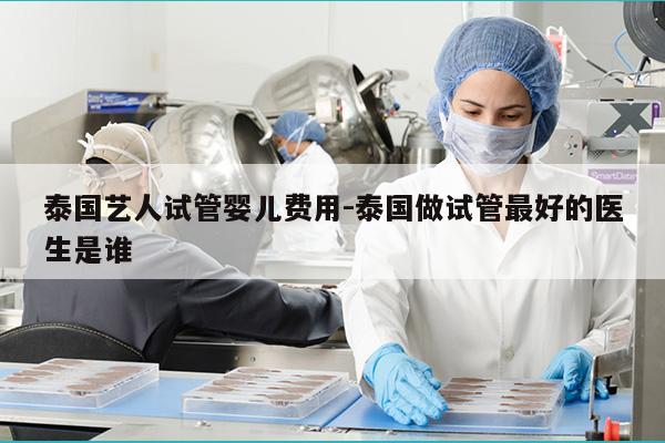 泰国艺人试管婴儿费用-泰国做试管最好的医生是谁