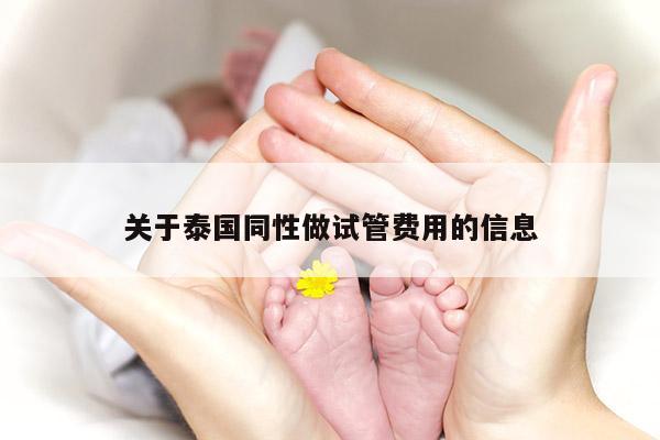 关于泰国同性做试管费用的信息