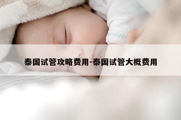 泰国试管攻略费用-泰国试管大概费用