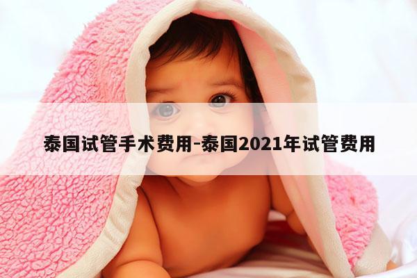 泰国试管手术费用-泰国2021年试管费用