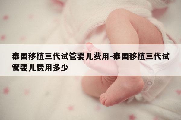 泰国移植三代试管婴儿费用-泰国移植三代试管婴儿费用多少