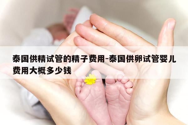 泰国GJ试管的精子费用-泰国GL试管婴儿费用大概多少钱