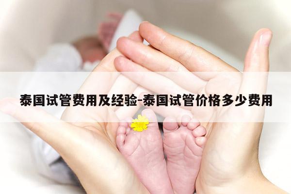 泰国试管费用及经验-泰国试管价格多少费用